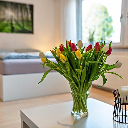 Waechtersberg Appartement Wildberg  Buitenkant foto